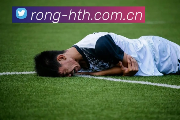 HTH体育 App